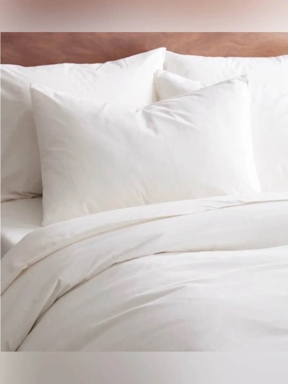 NWOT Quince Organic Brushed Cotton Queen White Pillowcases Set of 2